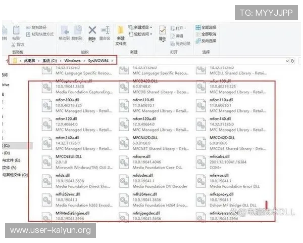 开云平台无法登录的常见问题分析与快速修复指南
